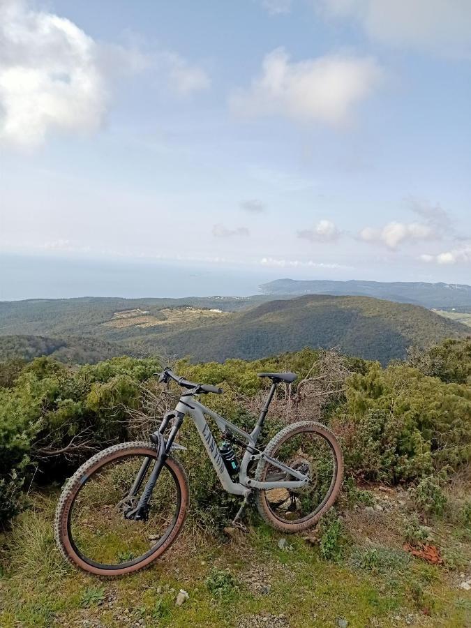 ヴァダ Agriturismo Il Cipressoヴィラ エクステリア 写真